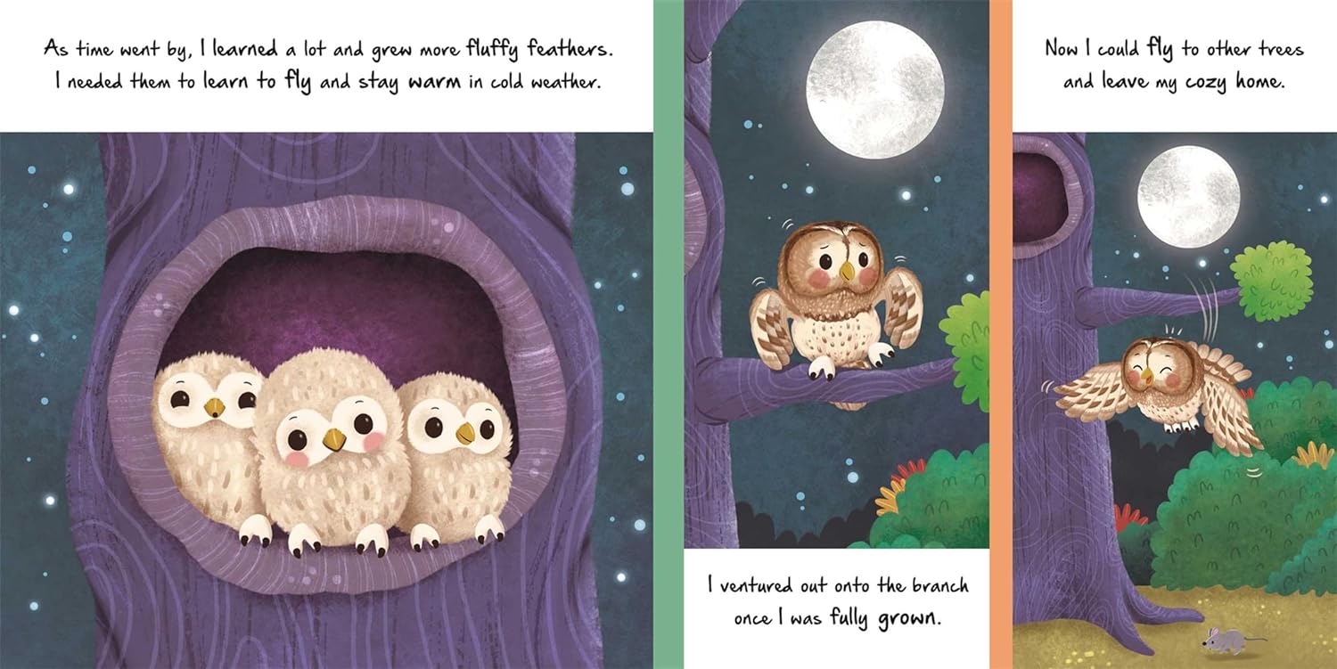 Nature Stories: Little Owl-Discover an Amazing Story from the Natural World