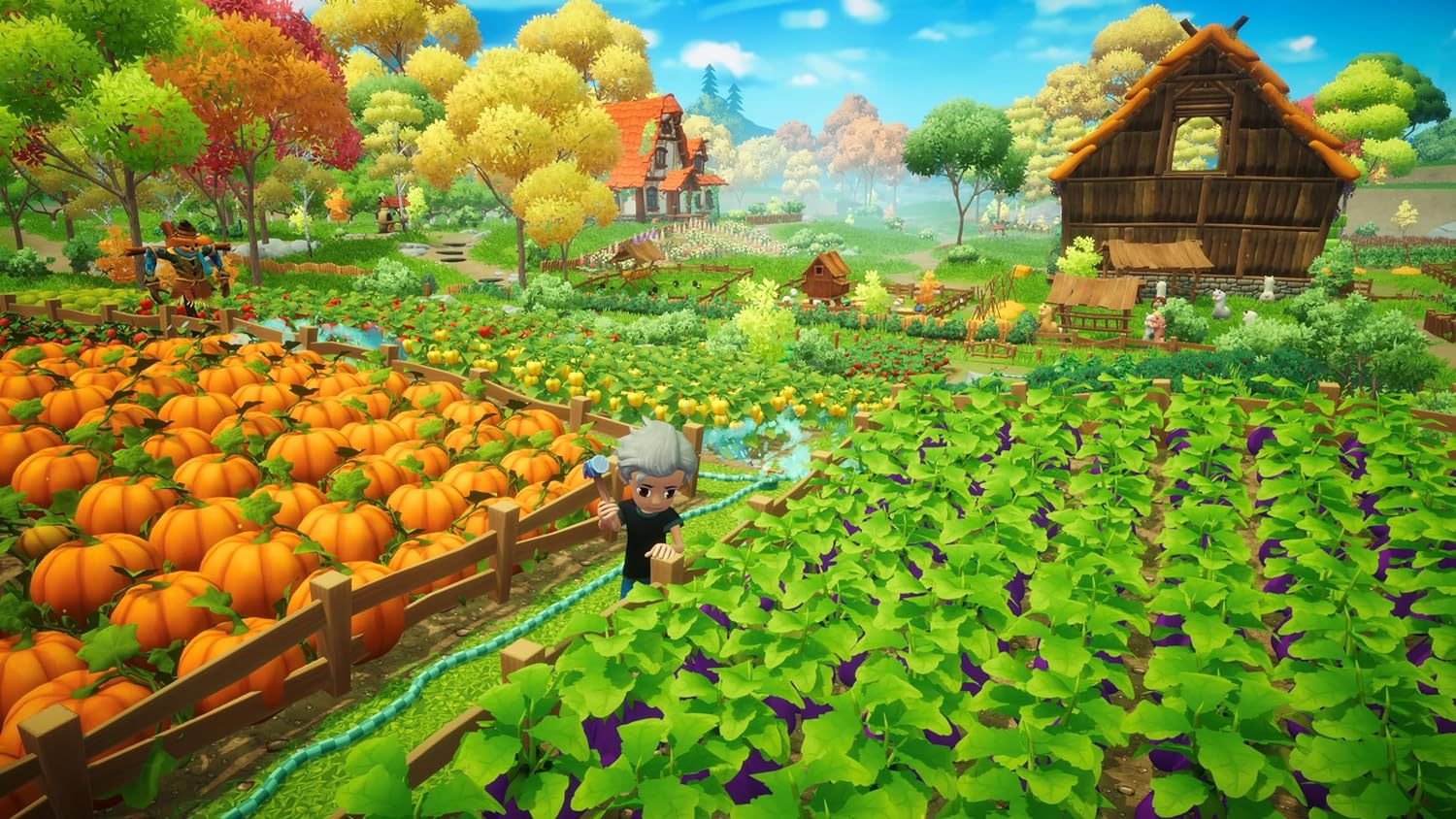 Everdream Valley - Switch