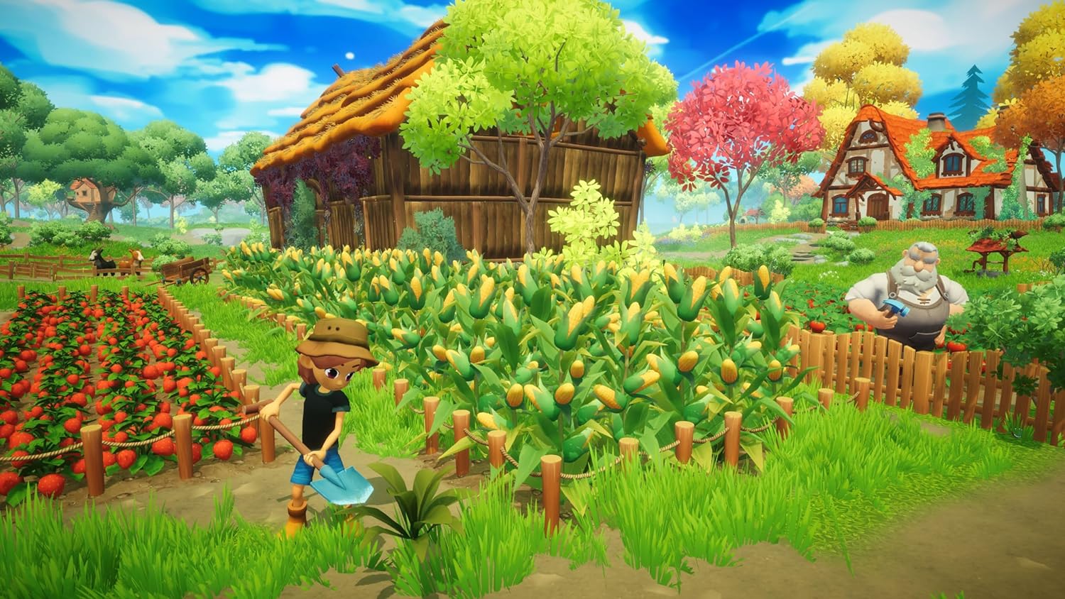 Everdream Valley - Switch