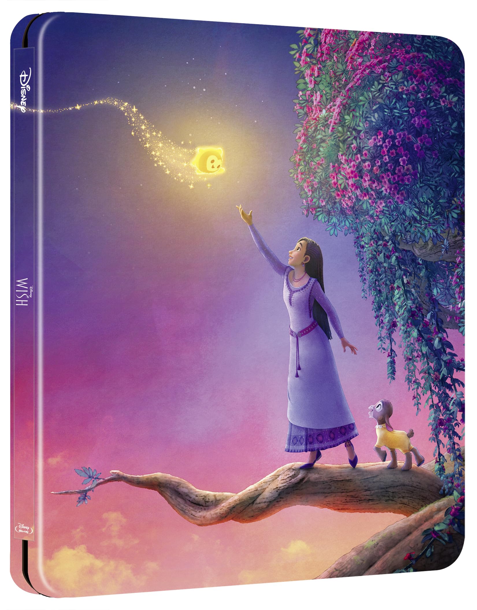Wish (Steelbook) - (Italian Import)