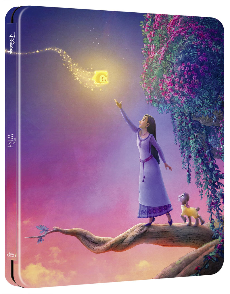 Wish (Steelbook) - (Italian Import)