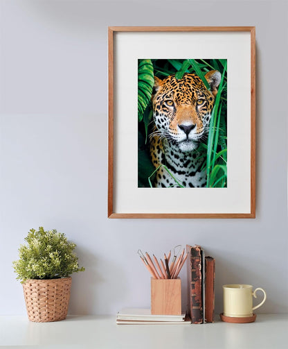 Clementoni 35541 Jigsaw Collection-Jaguar in The Jungle 500 Pieces-Poster Included, Puzzle for Adults 14-99 Years, Gift for Men/Women, Animals, Made in Italy, Multicolor