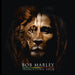 Trenchtown Rock