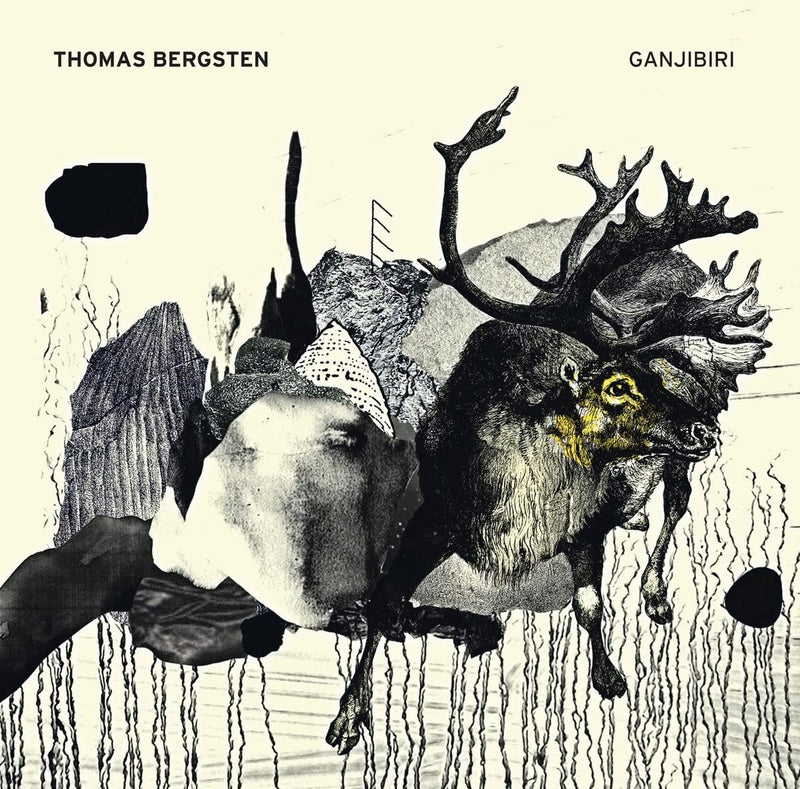 Thomas Bergsten-Ganjibiri
