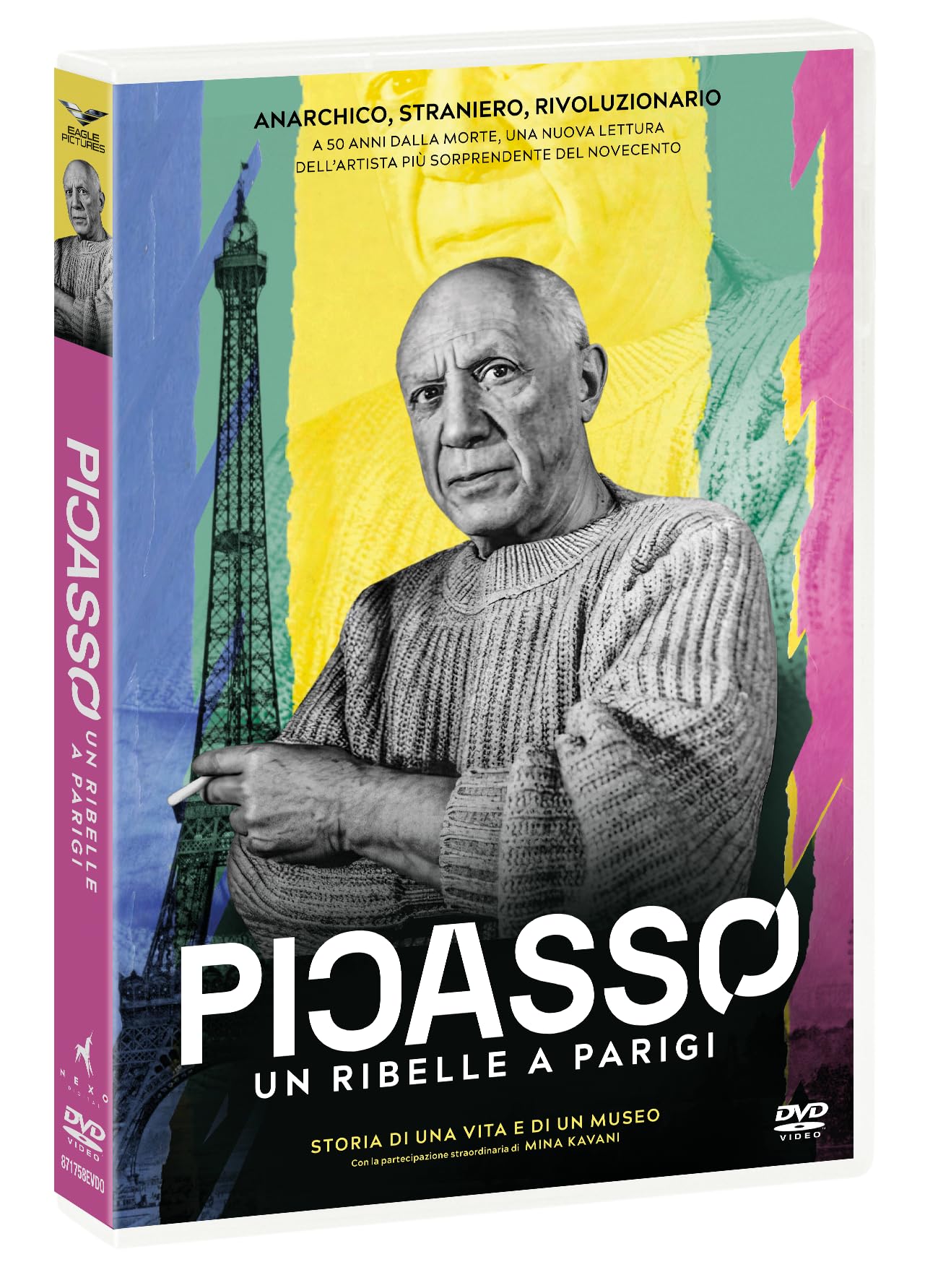 Picasso - Un Ribelle A Parigi - Dvd