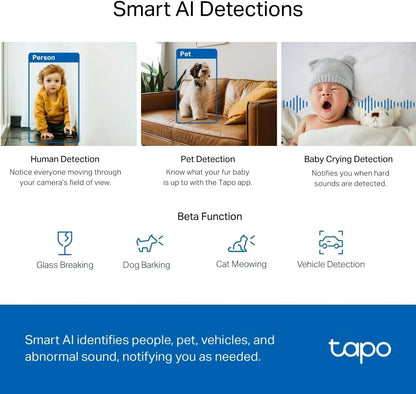 Surveillance Camcorder Tp-Link