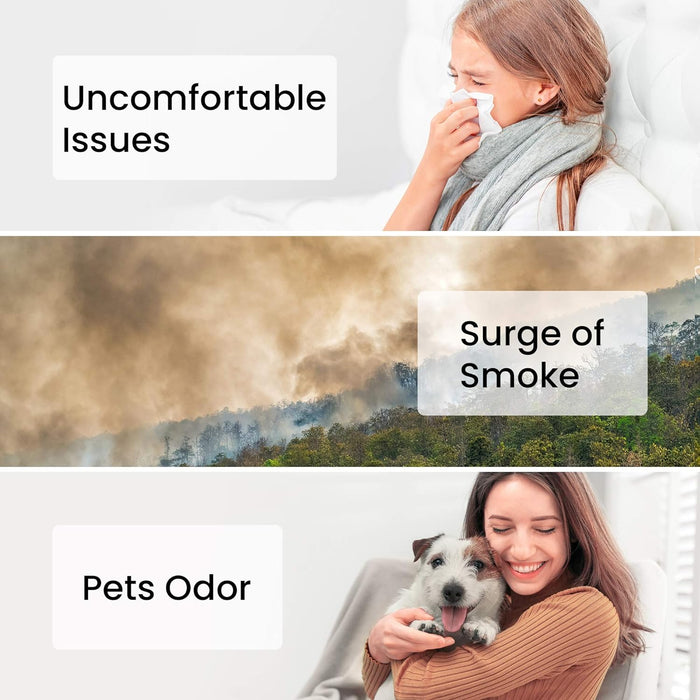 Smartmi Air Purifier P1 Filter (Pollen Allergy)
