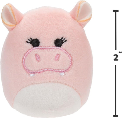 Squishville by Original Squishmallows Safari Squad Plush - Six 2-Inch Squishmallows Plush Including Parson, Ridelle, Deeto, Jace, Darius, and Beijo - Toys for Kids
