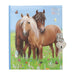 Depesche Miss Melody 12967 Personal Diary with Horses and Heart Castle, 192 Lined and Beautifully Illustrated Pages, Multi-Colour