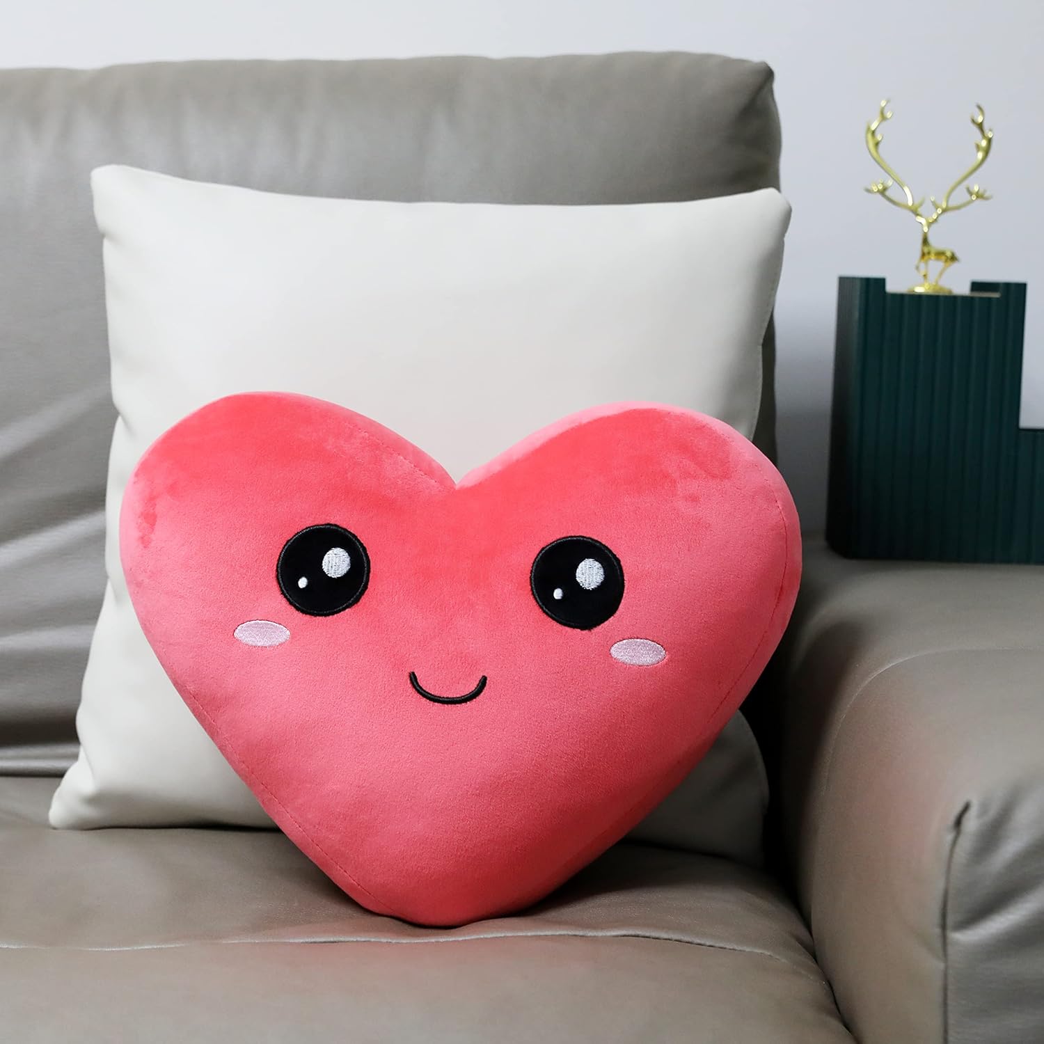 Pillow FOLLOW YOUR HEART