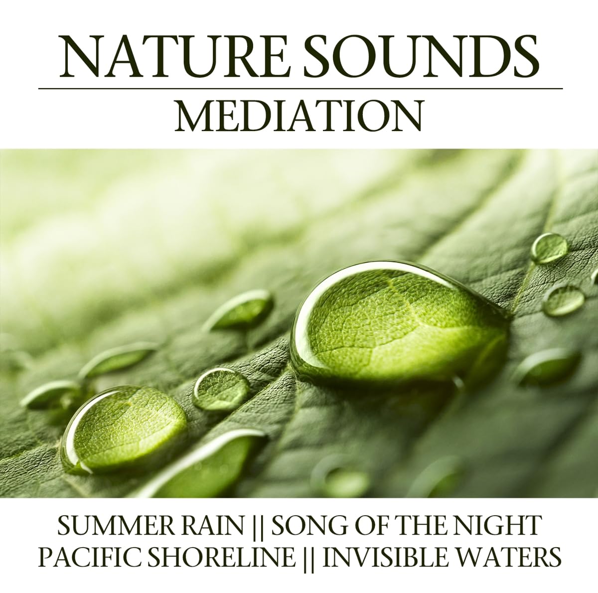 Nature Sounds Meditation