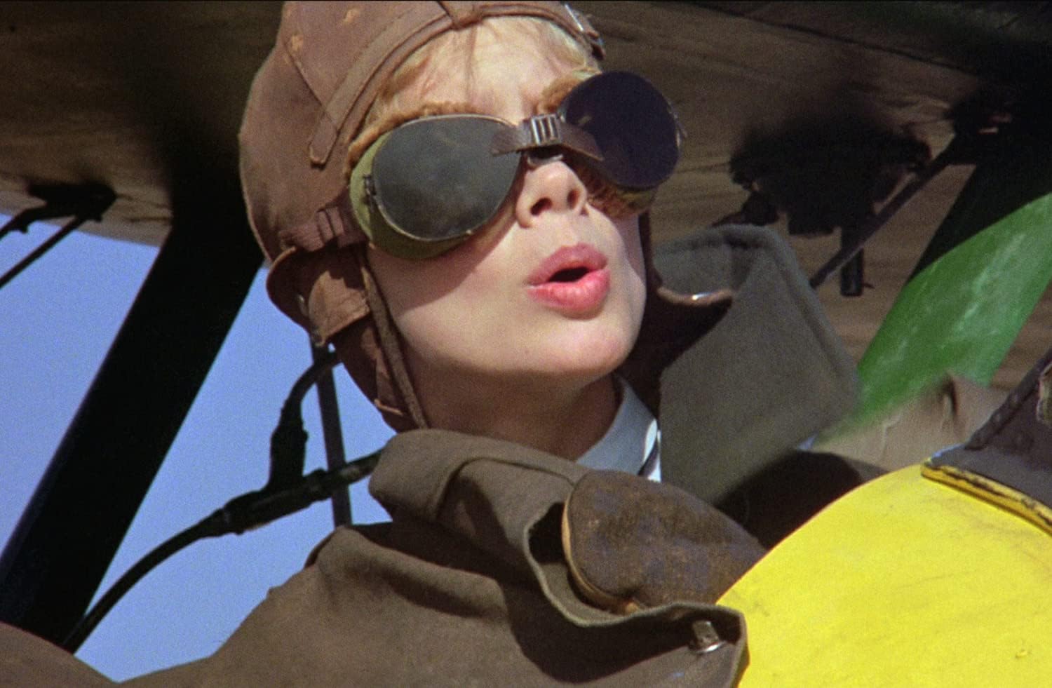 The Aviator - Absturz in der Wildnis