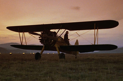 The Aviator - Absturz in der Wildnis