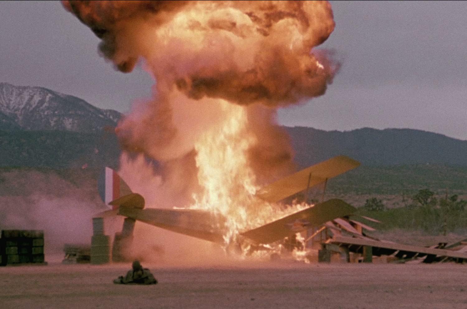 The Aviator - Absturz in der Wildnis