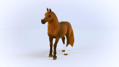 SCHLEICH 13953 Paso Peruano Mare Horse Club Toy Figurine for children aged 5-12 Years Single