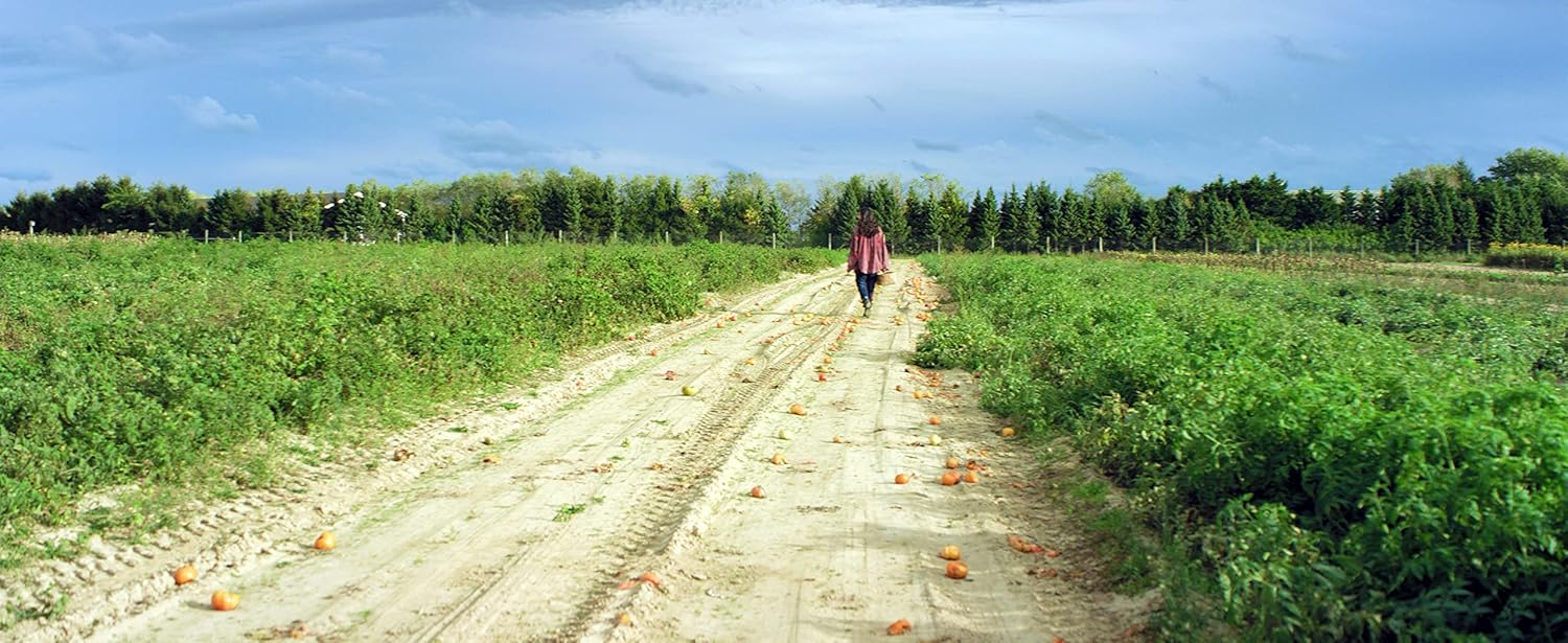 The Ones You Didn't Burn -