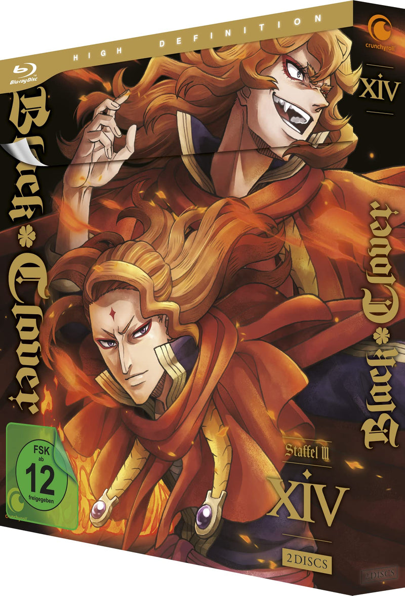 Black Clover Vol. 14 (Staffel 3)