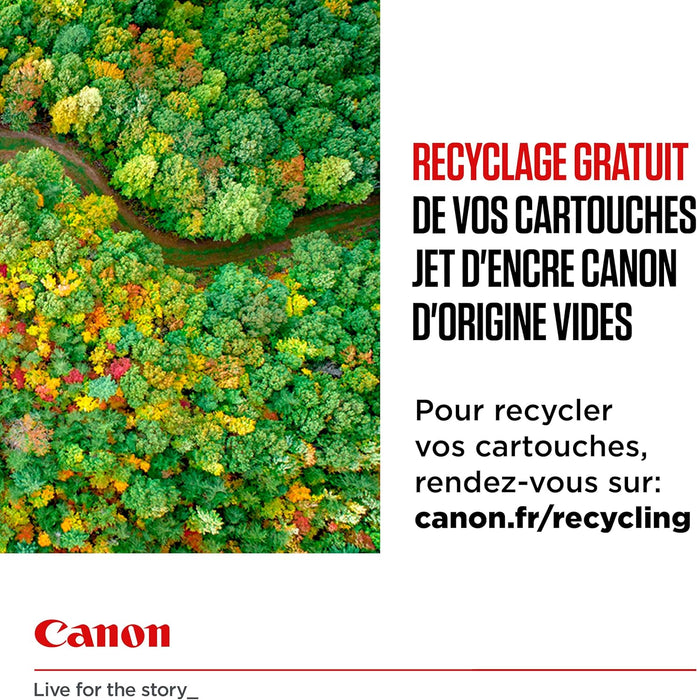 Canon CLI-551 C M Y BK Pack of 4 cartridges (Black Cyan Magenta Yellow) Genuine (Recycled Cardboard Multipack