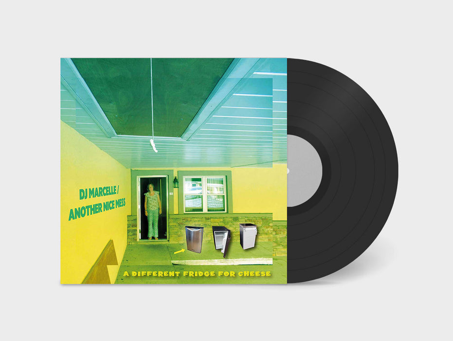 A Different Fridge for Cheese