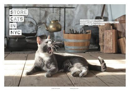 Mill, Issue 02
