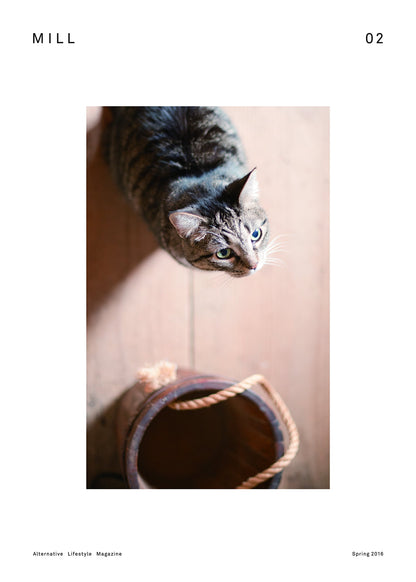 Mill, Issue 02