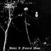 Darkthrone / Under A Funeral Moon (Silver Vinyl)