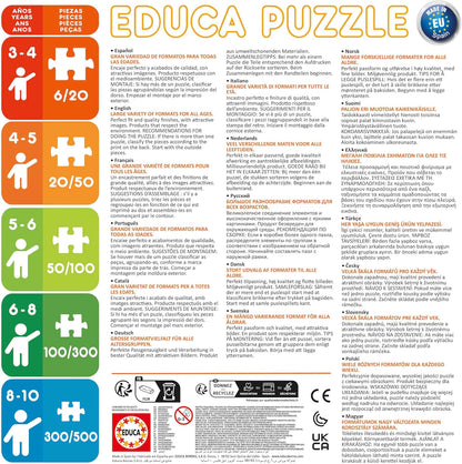 Educa - Fantasiewelt. 2 Puzzle mit 48 Teilen, die jeweils aus perfekt fertiggestellten großen Teilen bestehen, so DASS Seine Manipulation einfach und sicher ist (19993