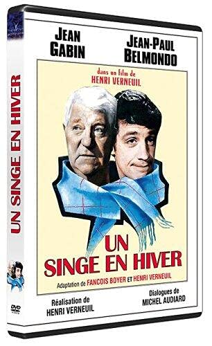 Un singe en hiver