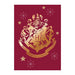 Harry Potter Fleece Blanket 100 x 140 cm (Harry Potter Fleece Throw)