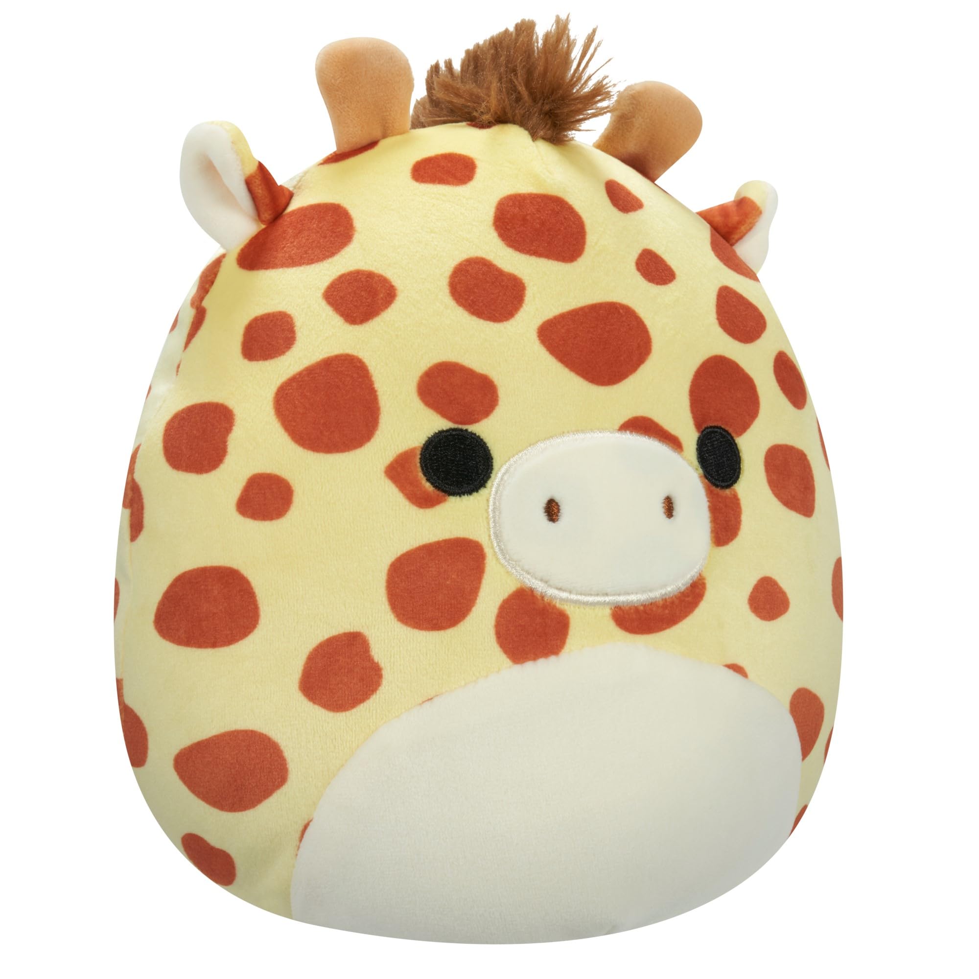 Squishmallows - 19 Cm P19 C - Gary