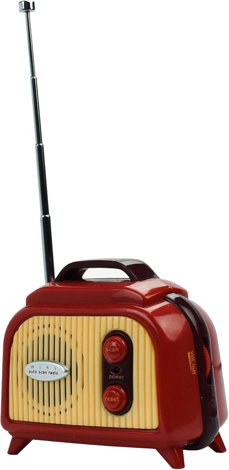 LEGAMI FM0001 Portable Mini Radio Recorder