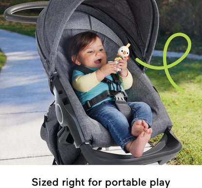 Fisher Price Clack & Quack Goose