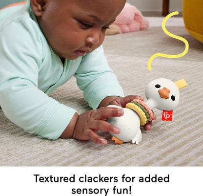 Fisher Price Clack & Quack Goose