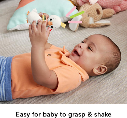 Fisher Price Clack & Quack Goose