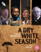 A Dry White Season