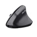 Trust Bayo Ll Wireless Ergonomic Mouse One Size