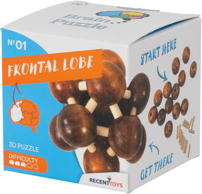 Recent Toys RT5139 Brain Puzzle