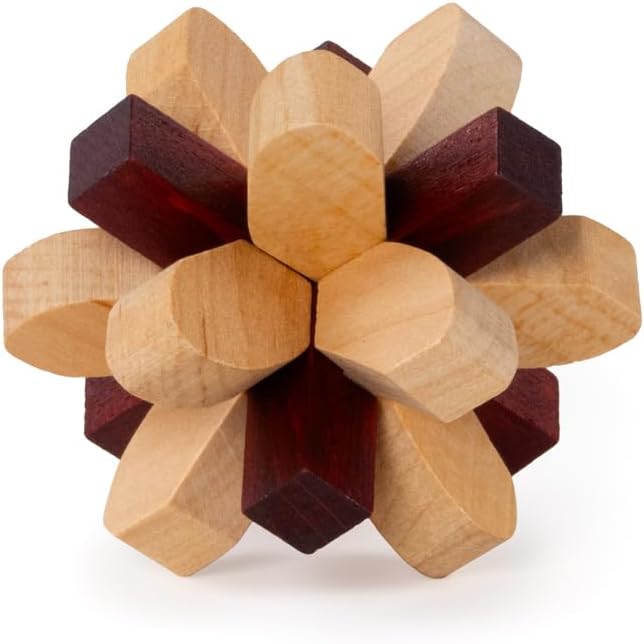 Recent Toys RT5140 Brain Puzzle Parietal Lobe