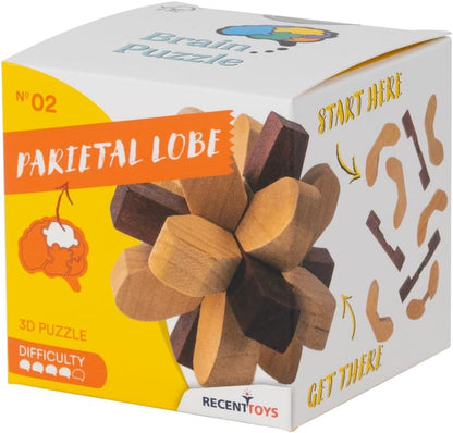 Recent Toys RT5140 Brain Puzzle Parietal Lobe