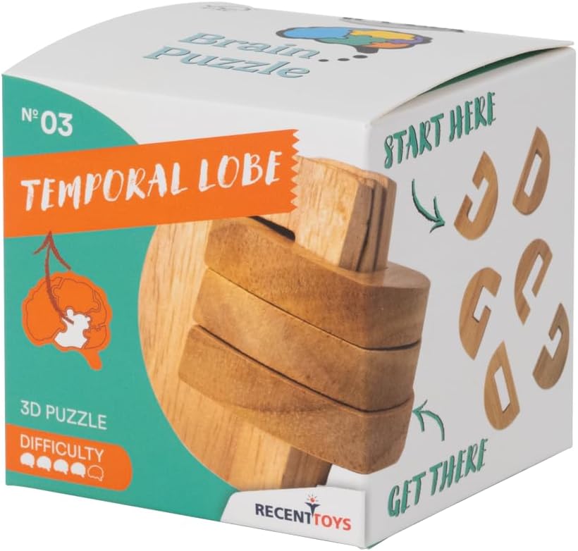 Recent Toys RT5141 Brain Puzzle