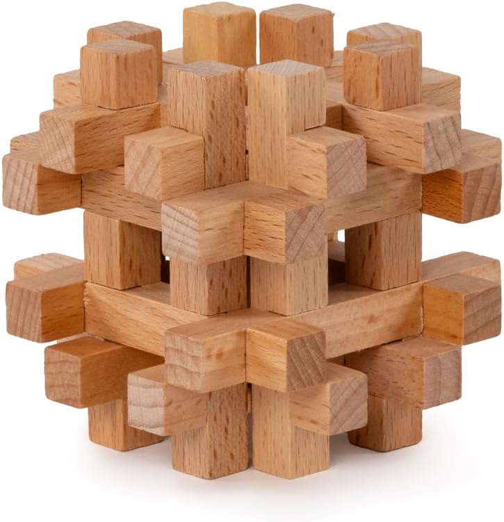 Recent Toys RT5143 Brain Puzzle