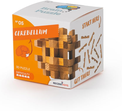 Recent Toys RT5143 Brain Puzzle
