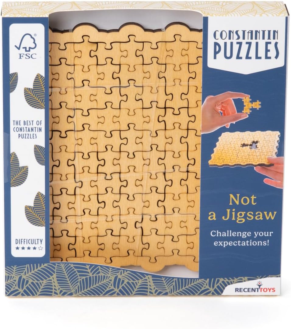 Recent Toys C5166 Not a Jigsaw