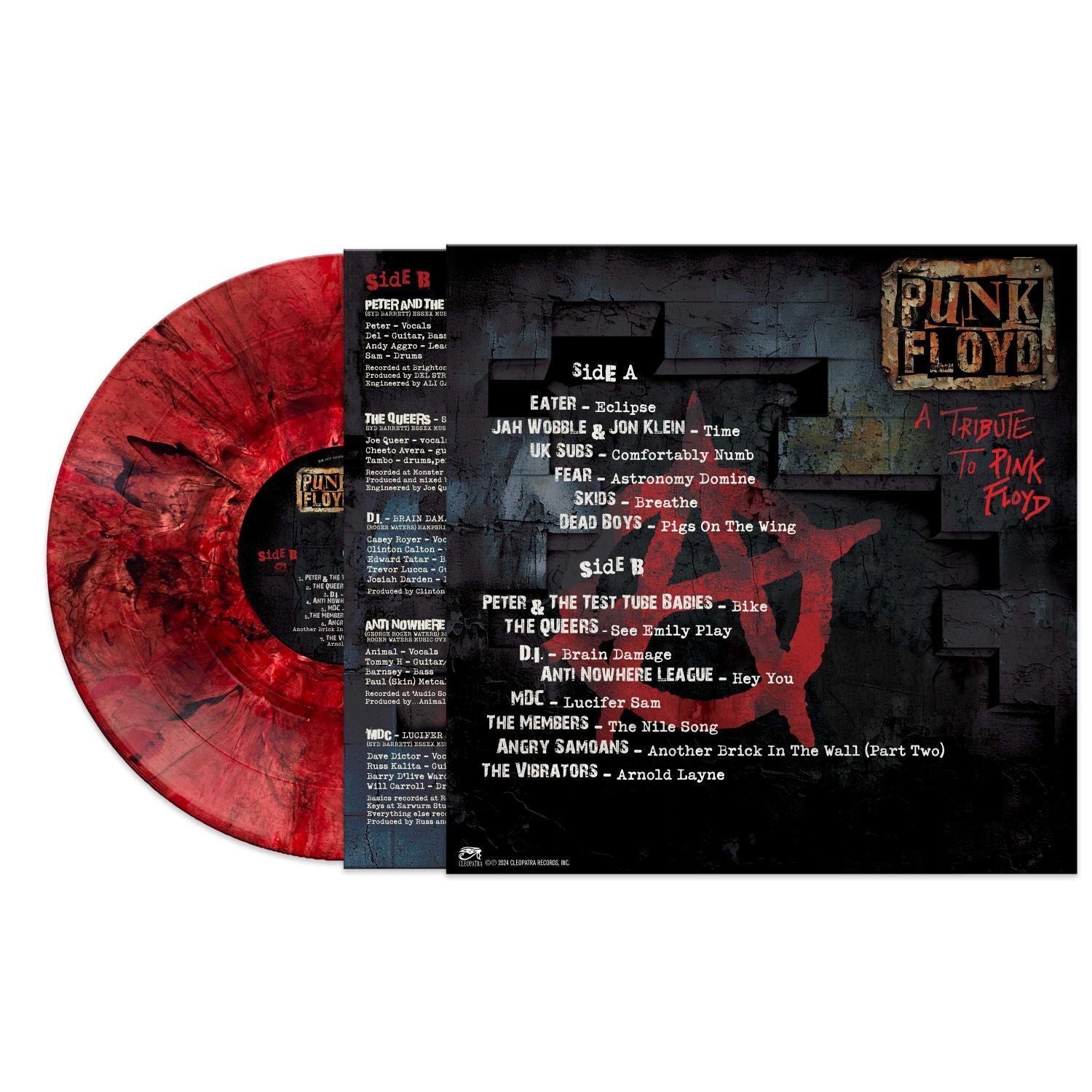 Punk Floyd: A Tribute to Pink Floyd