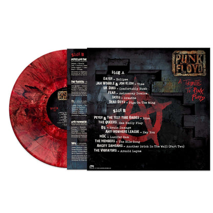 Punk Floyd: A Tribute to Pink Floyd