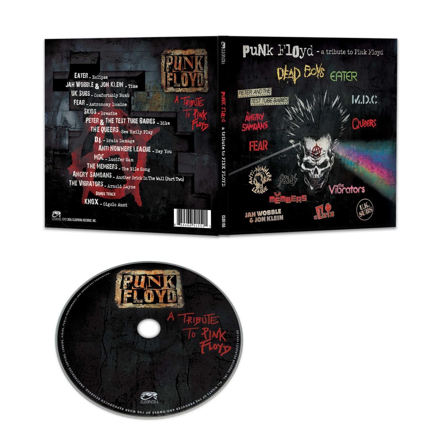 Punk Floyd: A Tribute to Pink Floyd
