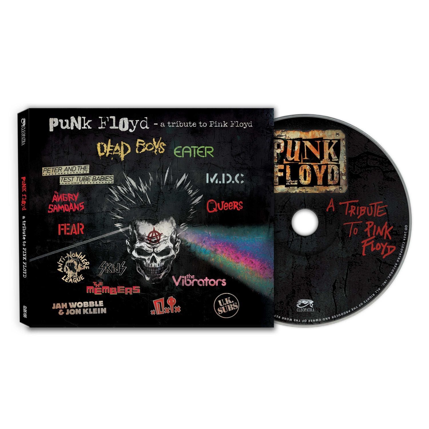 Punk Floyd: A Tribute to Pink Floyd