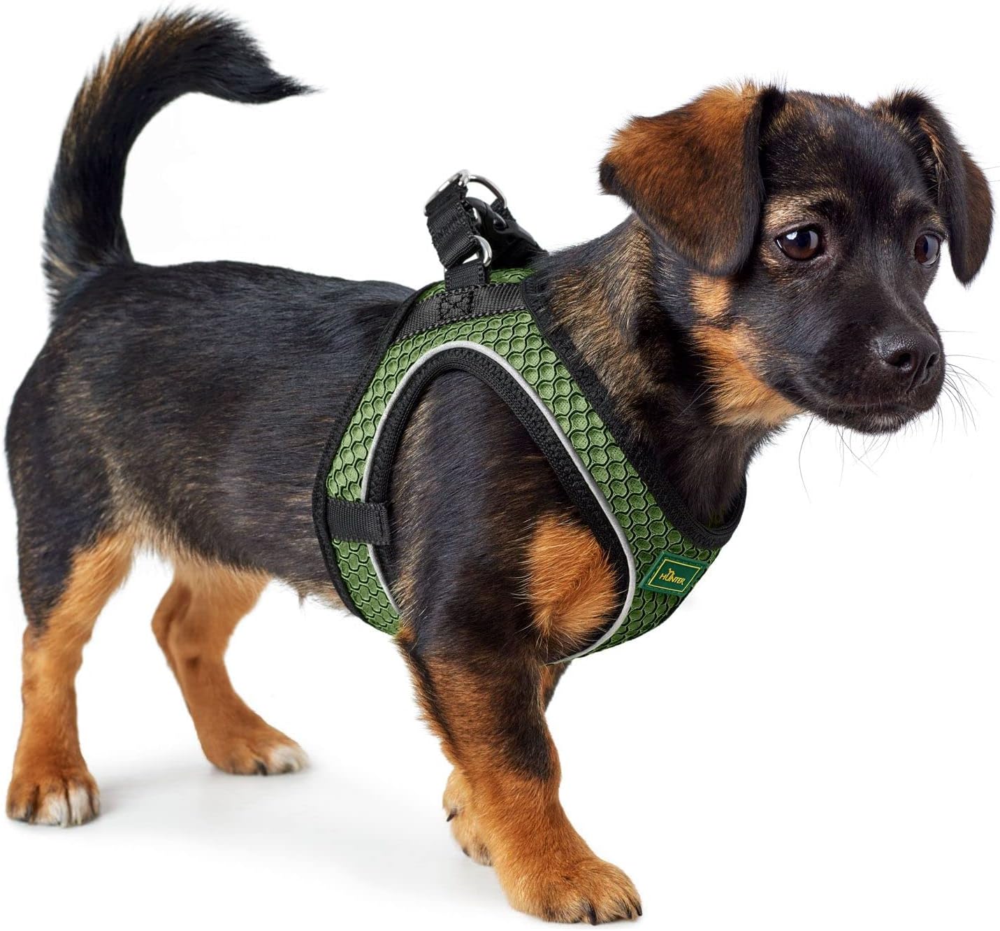 Dog Harness Hunter Comfort Green S 42-48 Cm