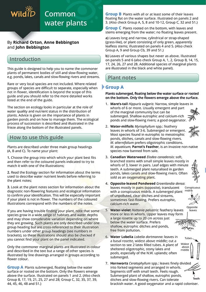 Guide to Commoner Water Plants