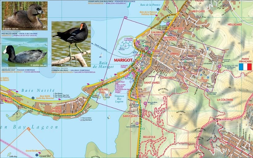 Saint-Martin / Sint Maarten (French & Dutch Caribbean)
